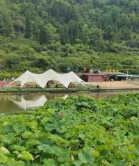 我幫爸媽搵嘅避暑勝地，佢哋住落就唔想走！