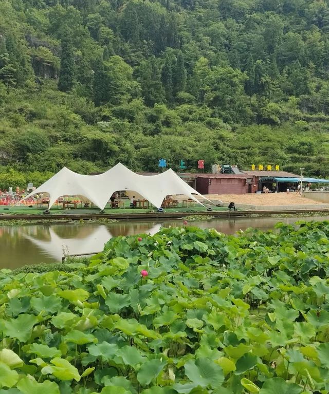 我幫爸媽搵嘅避暑勝地，佢哋住落就唔想走！
