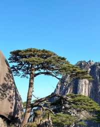 登頂黃山保姆級攻略｜奇松雲海全打包