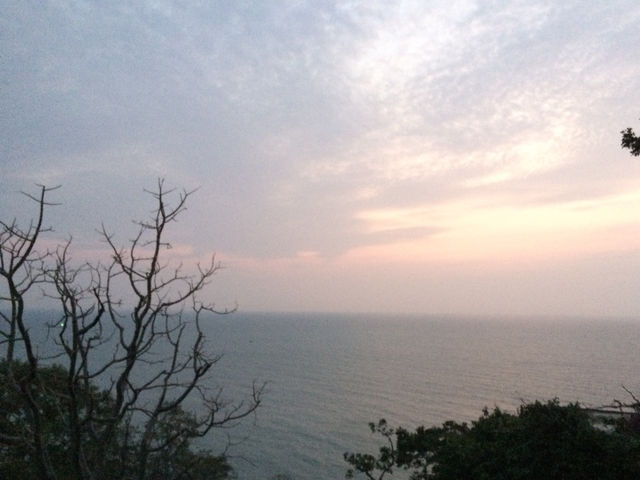 ถิ่นมีหอย🌊