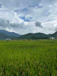 婺源遊山村｜千窗漏月噬龍脊 一溪浮燈鎖商魂