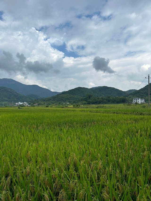 婺源遊山村｜千窗漏月噬龍脊 一溪浮燈鎖商魂