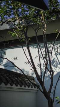 廣漢寶藏酒店，親子遛娃超快樂！