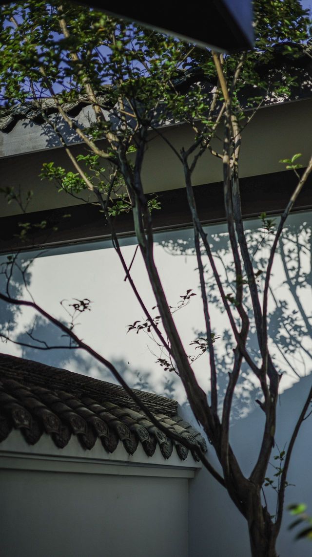 廣漢寶藏酒店，親子遛娃超快樂！