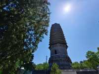 20250503    南塔北剎間，偷得雲居半日閒