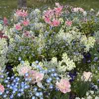 【橫濱里山花園4月尾靚到尖叫！即時實況分享】