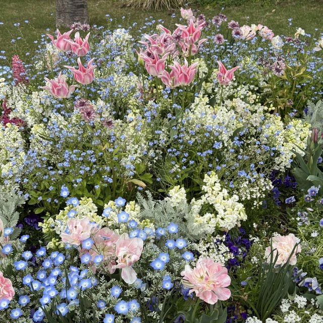 【橫濱里山花園4月尾靚到尖叫！即時實況分享】