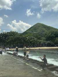 月亮灣私藏秘境｜步行闖入野生小溪