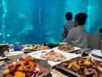 萬寧-陵水-三亞旅遊攻略：小眾親子遊+知識篇（幼兒友善版）