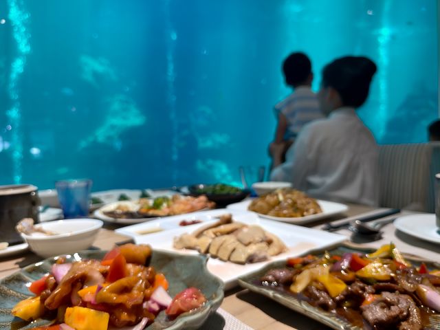 萬寧-陵水-三亞旅遊攻略：小眾親子遊+知識篇（幼兒友善版）