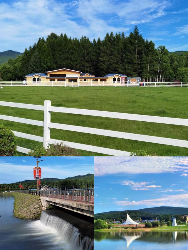 不是奈良，不是北歐，均溫21℃必須帶娃避暑去