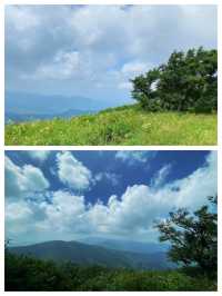 22℃的夏天!華北最大白樺林+冰川石海,這個避暑秘境藏不住了!   寶貝們!我不允許還有人沒去過