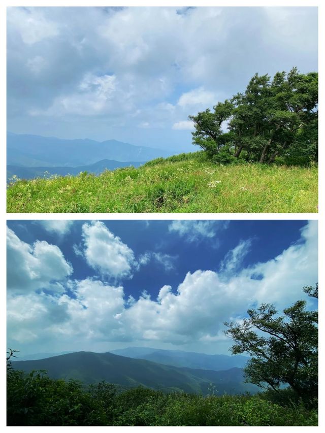 22℃的夏天!華北最大白樺林+冰川石海,這個避暑秘境藏不住了!   寶貝們!我不允許還有人沒去過 22℃的夏天!華北最大白樺林+冰川石海,這個避暑秘境藏不住了!   寶貝們!我不允許還有人沒去過