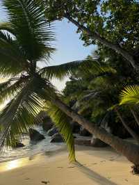 Unforgettable Experience at Constance Lemuria