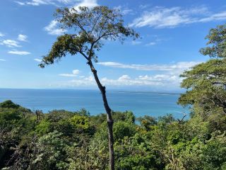 A Must-Visit in This Lifetime! Costa Rica Luxury Wilderness Travel Guide