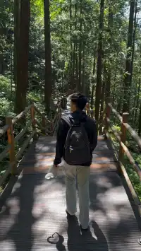 親測張家界國家森林公園攻略（一日版）！