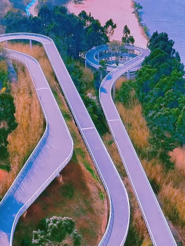 昆明滇池綠道：漫步湖光山色間的生態之旅
