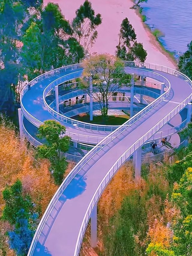 昆明滇池綠道：漫步湖光山色間的生態之旅