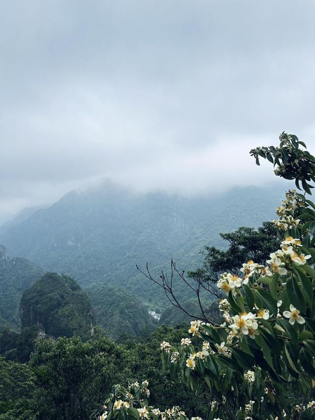 浙南山水旅遊攻略