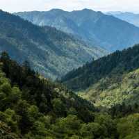 藏在北緯30°的雲端秘境!馬里冷舊全攻略