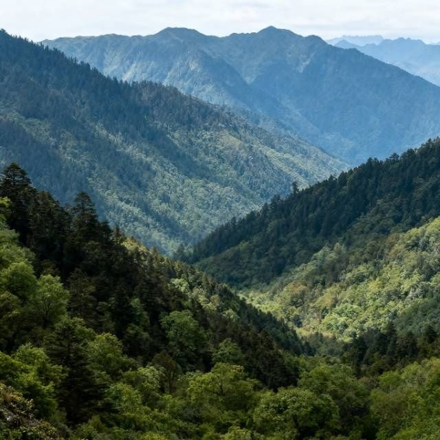 藏在北緯30°的雲端秘境!馬里冷舊全攻略 藏在北緯30°的雲端秘境!馬里冷舊全攻略