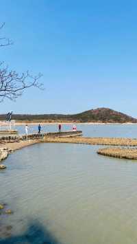 夕陽下與海鷗共舞