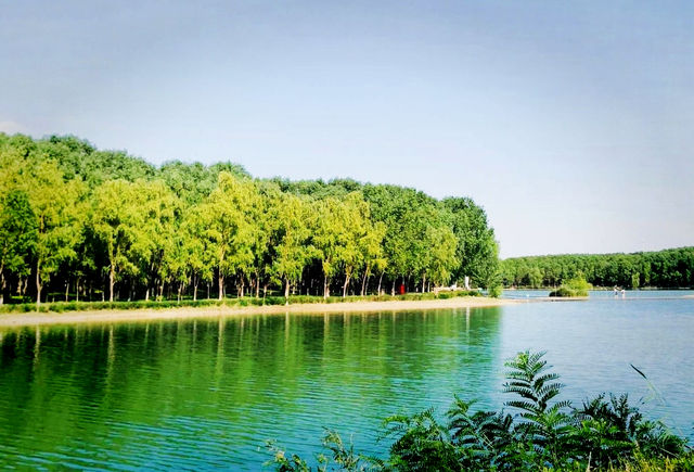 中衛香山公園｜自然景觀與人文休閒於一體的城市公園