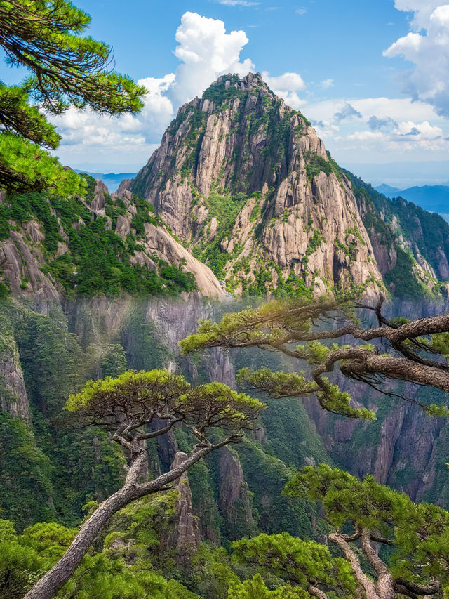 美哭了！秋日黃山錯過又等一年！