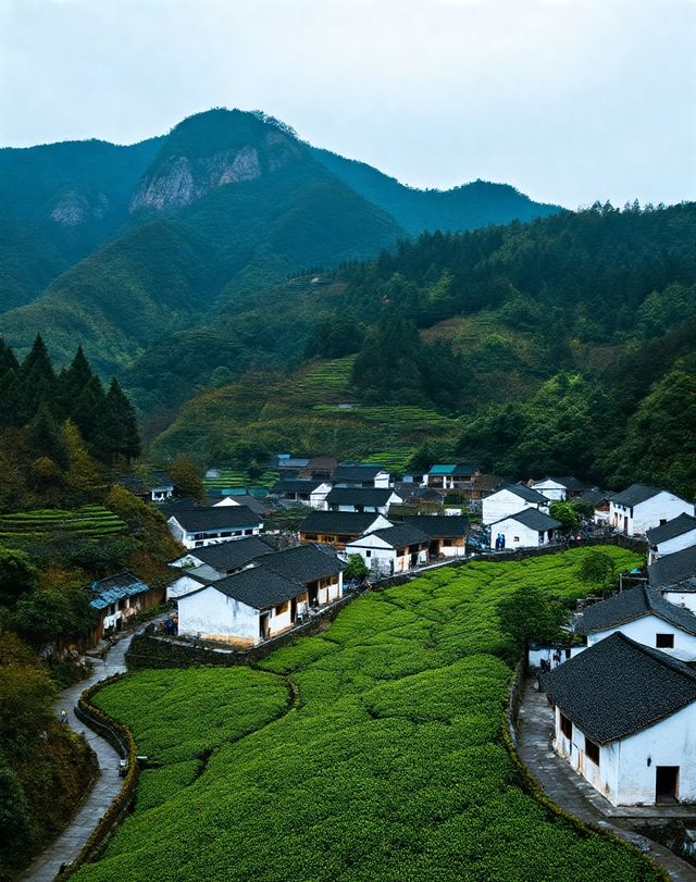 龍井村-茶鄉第一村|梯田茶園錯落有致，群山環抱間茶香彌漫