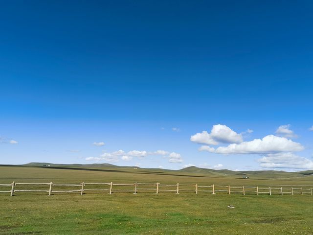 9月中闖入呼倫貝爾的Windows牆紙世界，藍天白雲下的額爾古納美到窒息！這條線路完美串聯濕地、白