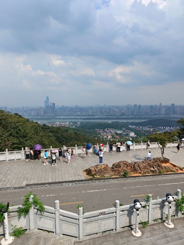 帶小學課本爬嶽麓山，在愛晚亭讀懂了楓林晚