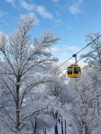 登頂嵩山雪後仙境