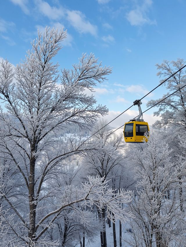 登頂嵩山雪後仙境