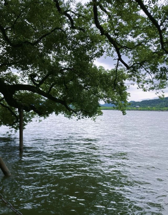 杭州西湖絕美打卡攻略｜這份浪漫請收好