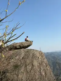 江浙最美徒步路線|走馬崗香榧林（附攻略）