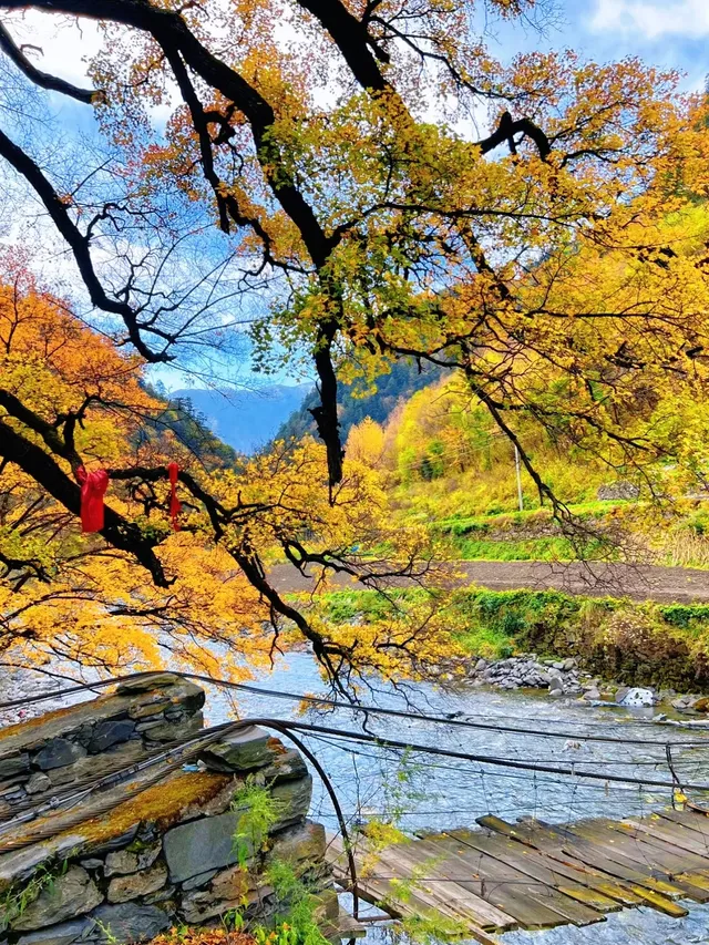 10月賞秋米亞羅彩林徒步一日遊快衝