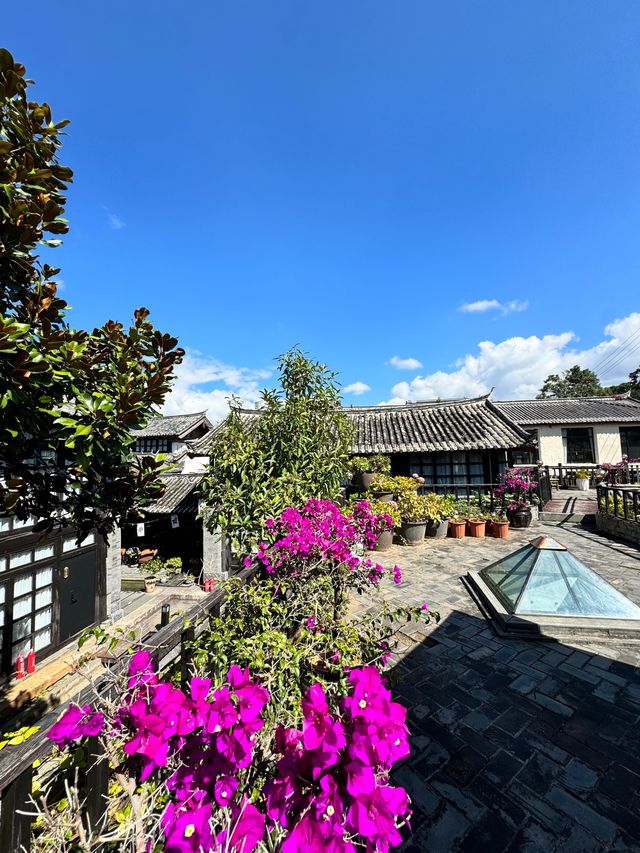 來麗江住了不想走的民宿，環境太治癒了