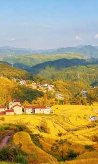 天台山秋色已封神