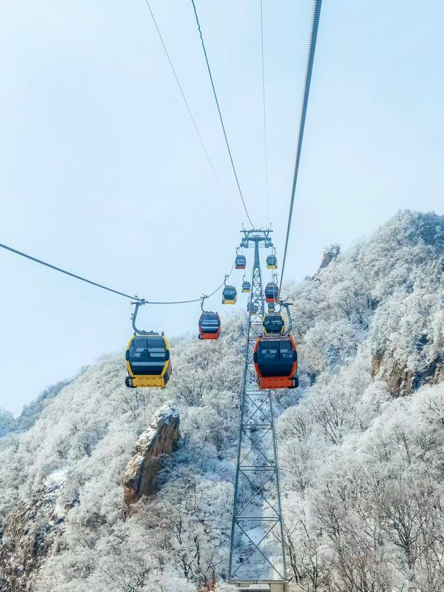 在老君山看到了現實版雲頂天宮