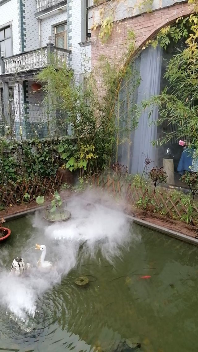 燕棲湖灣度假民宿