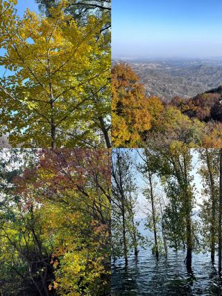 Hidden Gems Around Baoding! Stunning Late Autumn Check-in Guide for Fuping