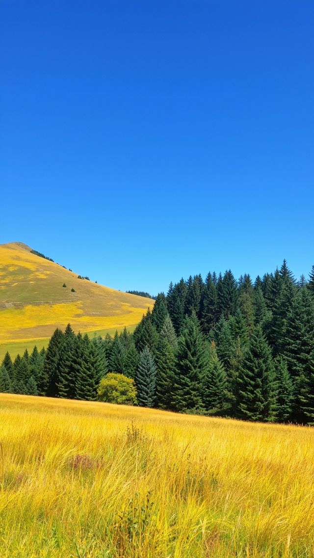 這才是祁連山秋日限定的童話世界美到窒息 這才是祁連山秋日限定的童話世界美到窒息