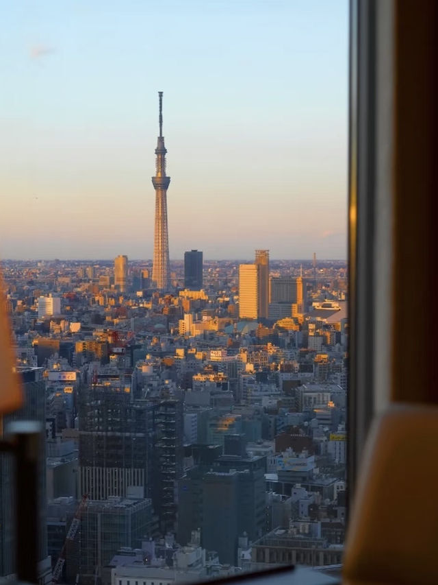 文藝青年的東京暴走指南