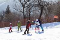 雪落亞布力:把南方人的冬夢,種在林海雪原裡