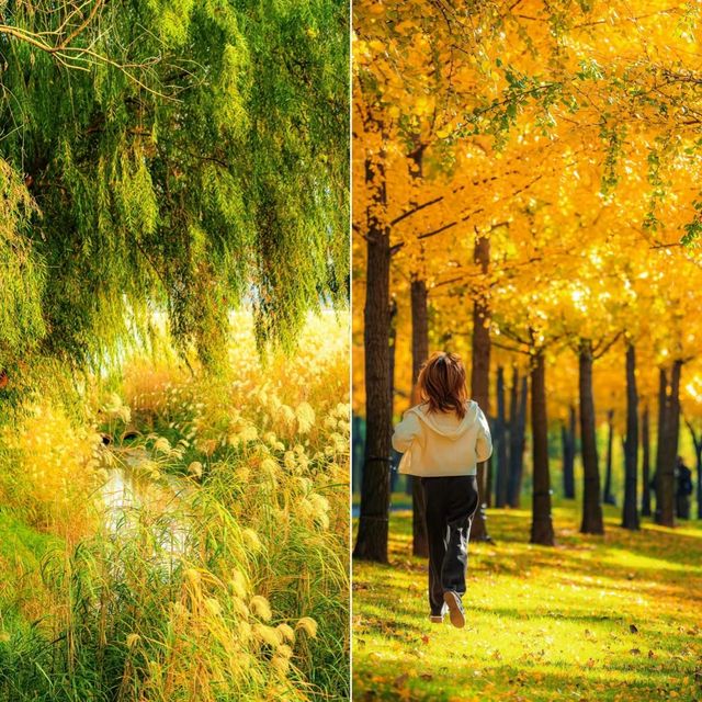 品嚐秋日暖陽下的甜美，我在湖北等你！