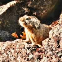 🇨🇳아얼샨, 자연의 아름다움과 불편한 현실 사이 🏔️