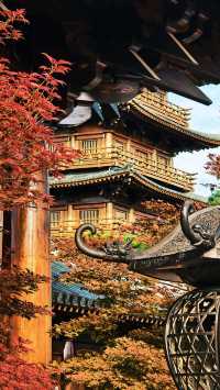 寶山寺紅楓全攻略