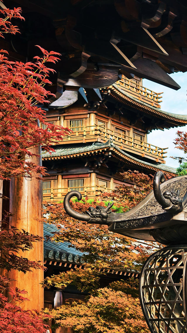 寶山寺紅楓全攻略 寶山寺紅楓全攻略