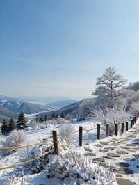 冰雪奇緣!看看在這裡遇到誰