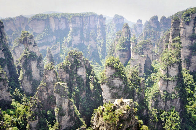《阿凡達》拍得太保守了！武陵源才是真正的潘多拉星球！